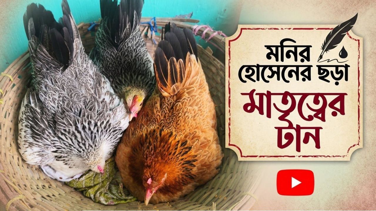 মনির হোসেন এর ছড়া: মাতৃত্বের টান ​ 