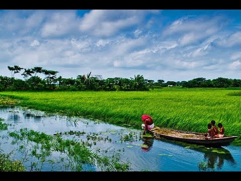 বাংলাদেশের প্রকৃতির অপরূপ সৌন্দর্য